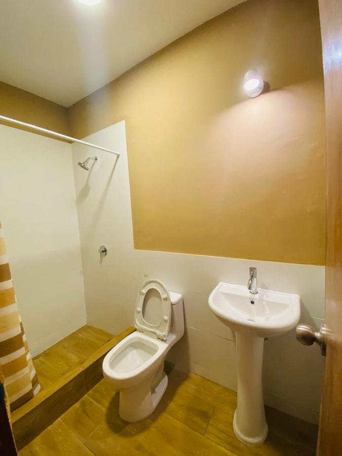 Flying Dog Hostel クスコ エクステリア 写真