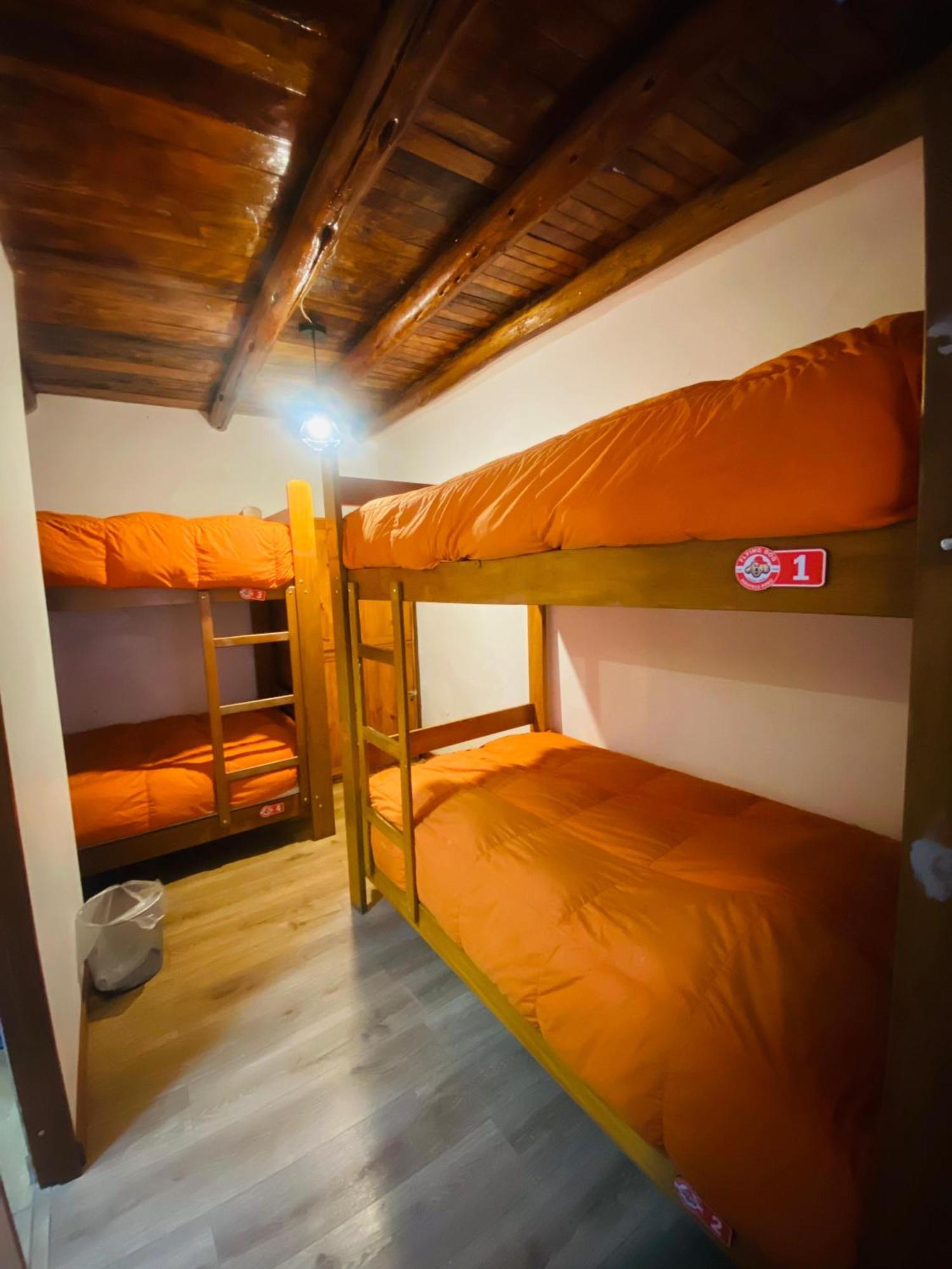 Flying Dog Hostel クスコ エクステリア 写真